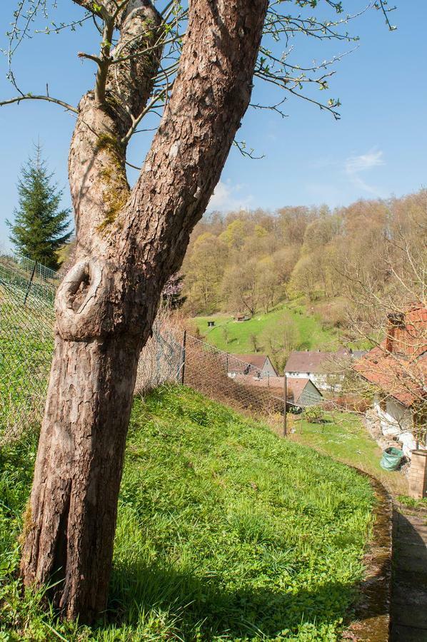 Platell Ferienhaeuser Harz Lerbach Zewnętrze zdjęcie